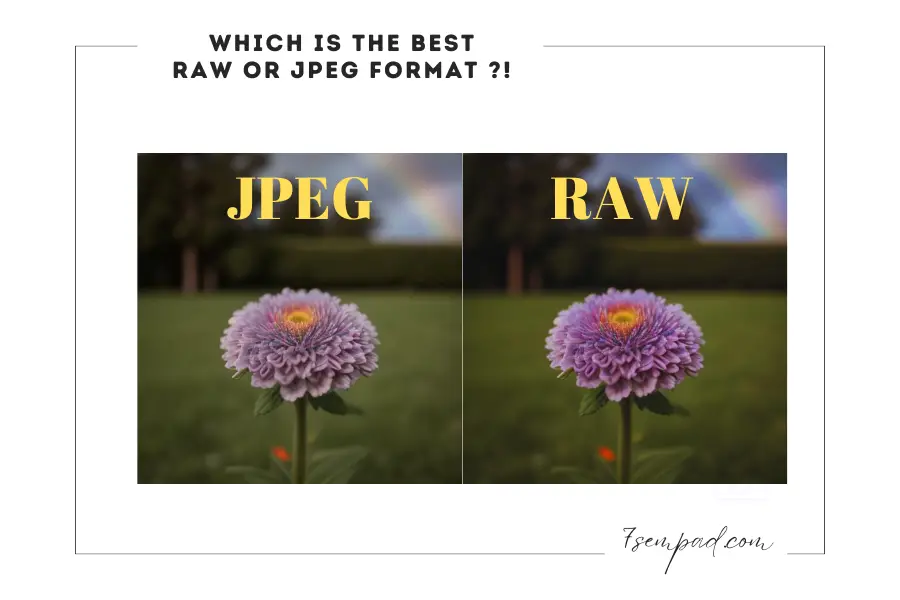 Which is the Best RAW or JPEG format ?!