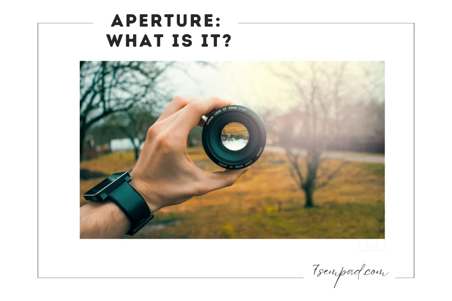 Mastering Aperture: A Step-by-Step Guide
