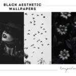 black aesthetic wallpaper