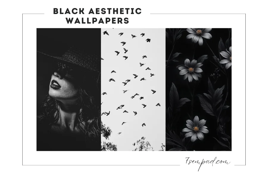 black aesthetic wallpaper